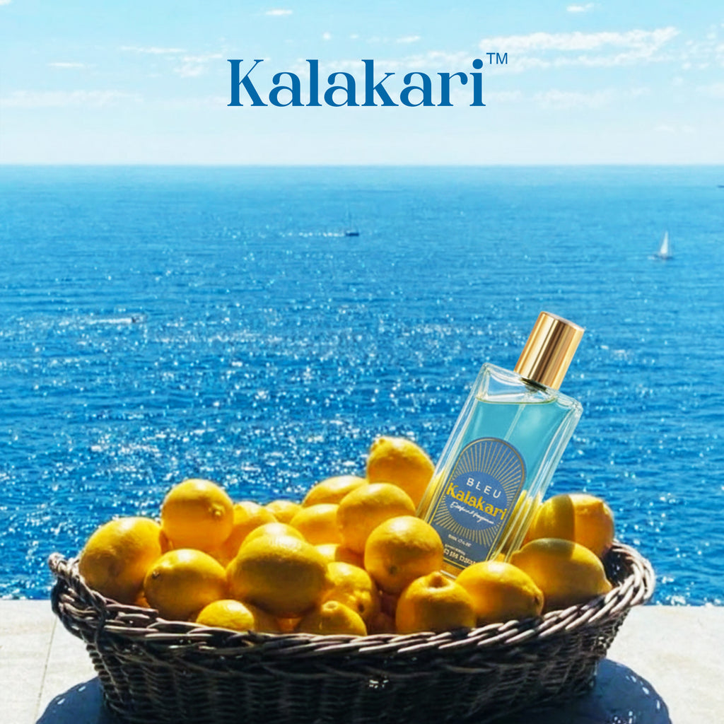Bleu kalakari Perfume - Fresh Cool - Best Men Fragrance
